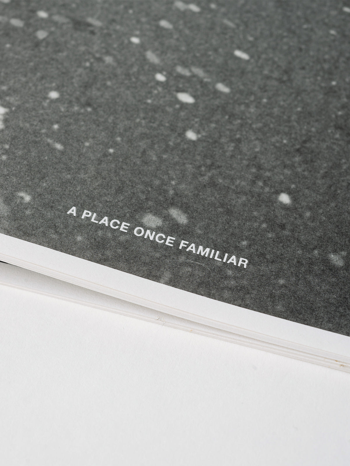 Detail shot of BENCH COFFEE CO. zine "A Place Once Familiar" for the opening of Lt Collins store